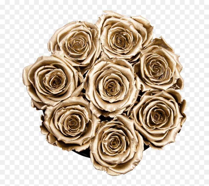 Garden Roses, HD Png Download - gold flowers png