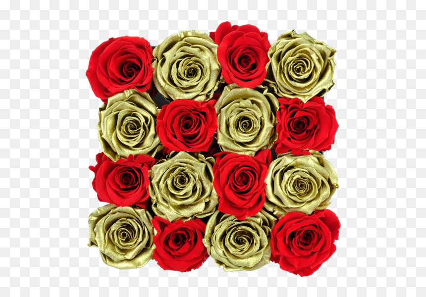 Garden Roses, HD Png Download - gold flowers png