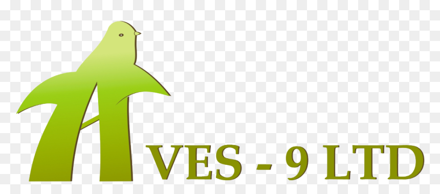 Transparent Aves Png, Png Download - aves png