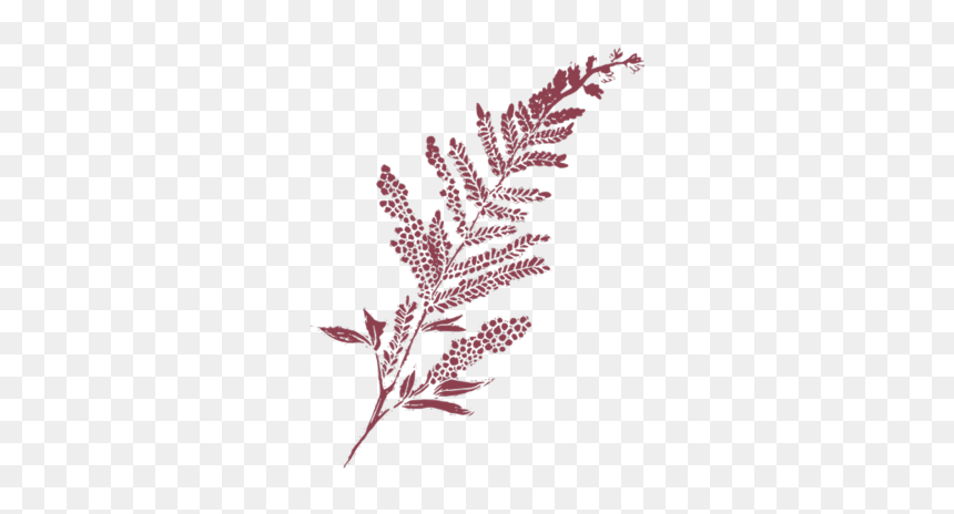 Pine, HD Png Download - gritty texture png