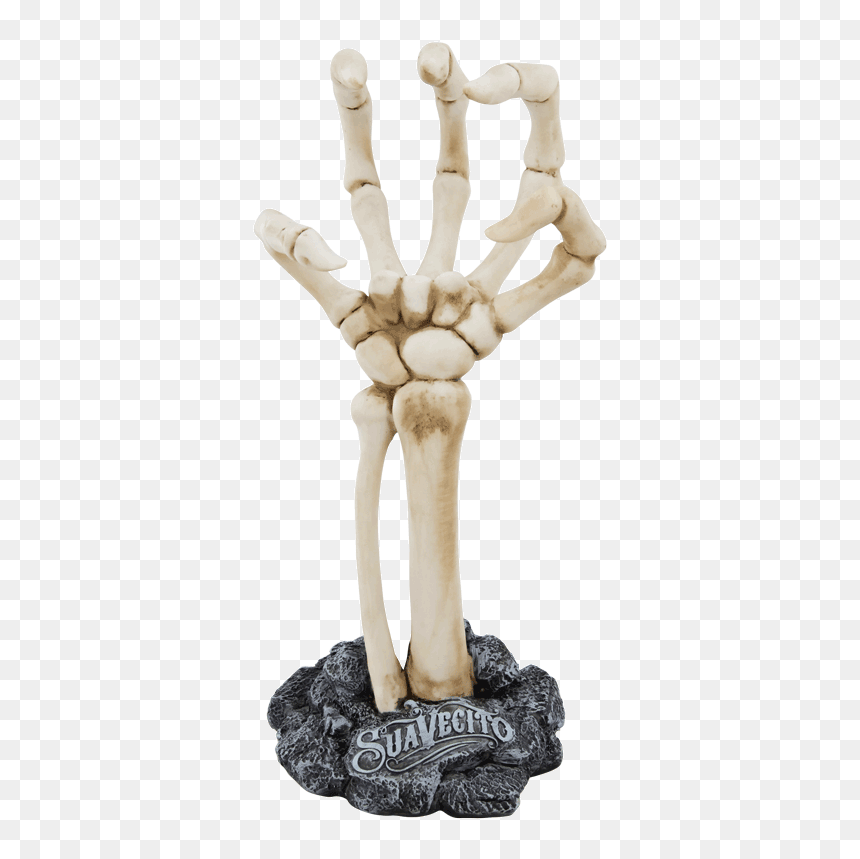 Suavecito Skeleton Hand Display, HD Png Download - skeleton hands png