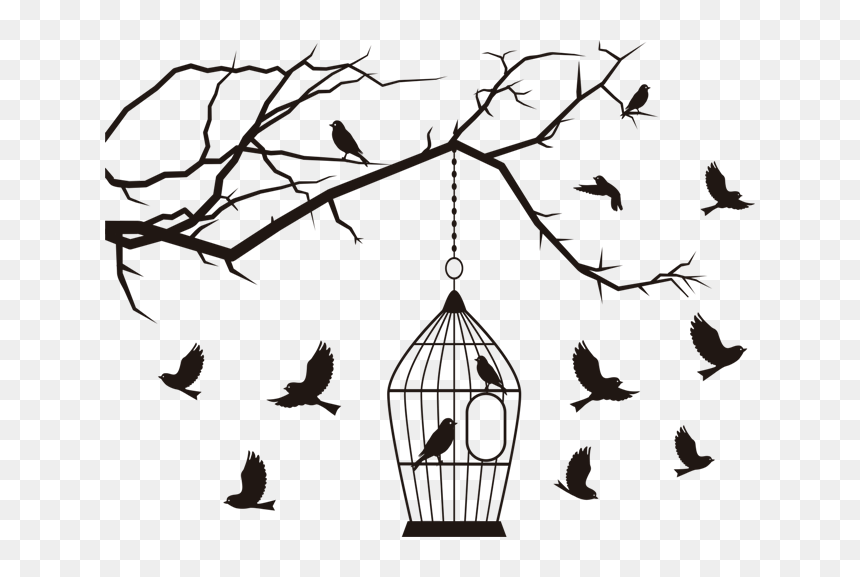 Passaros Gaiola, HD Png Download - aves png