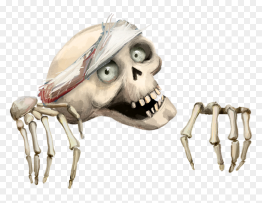 Skull, HD Png Download - skeleton hands png