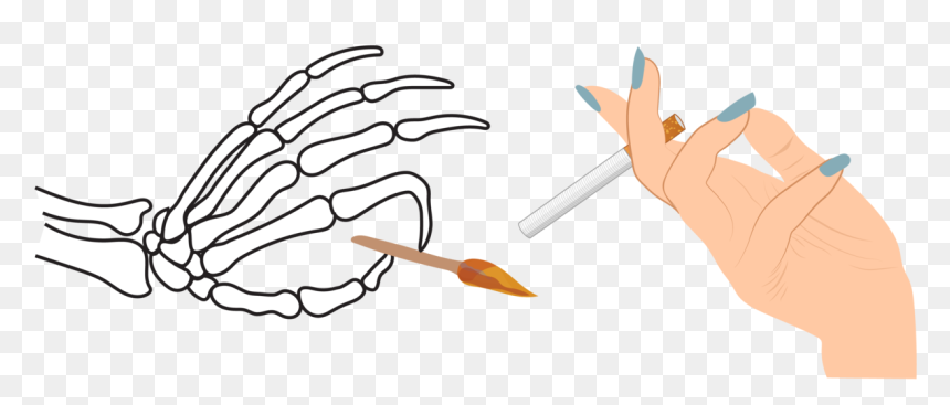 Illustration, HD Png Download - skeleton hands png