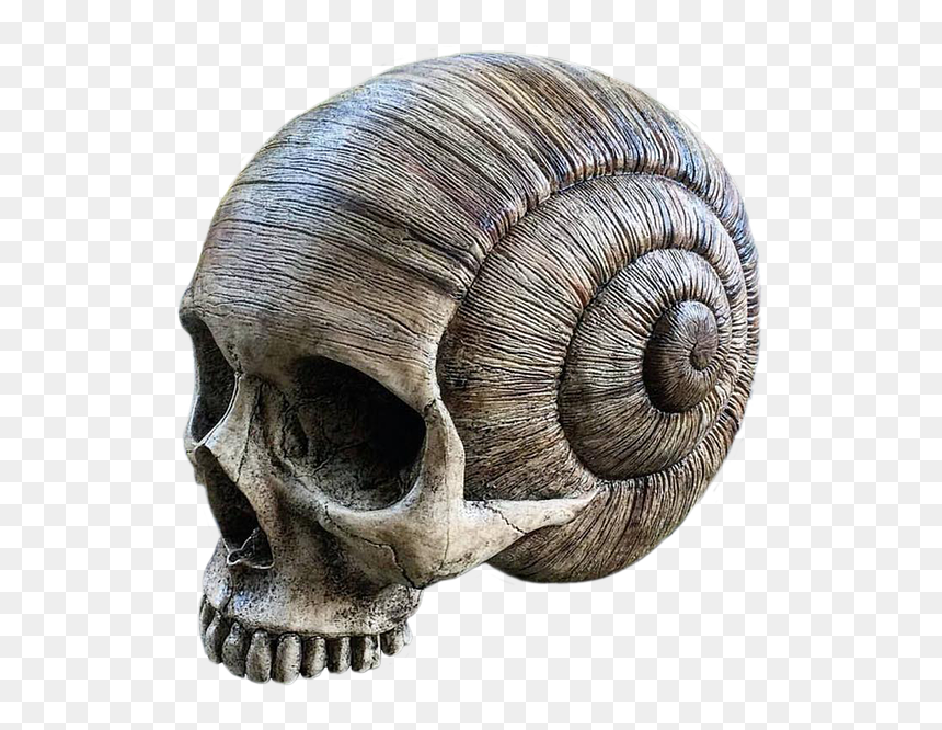 Animal Skull Hd Png, Transparent Png - skeleton hands png