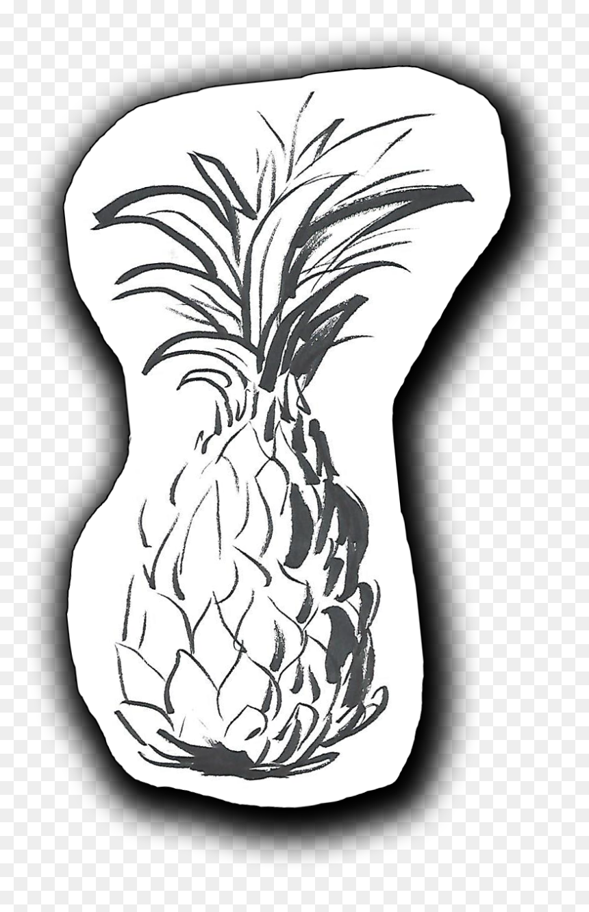 Pineapple, HD Png Download - black and white pineapple png