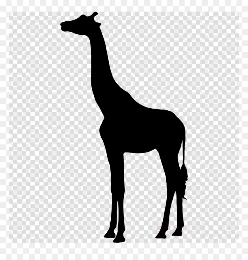 Silhouette Man Sitting Png, Transparent Png - africa silhouette png