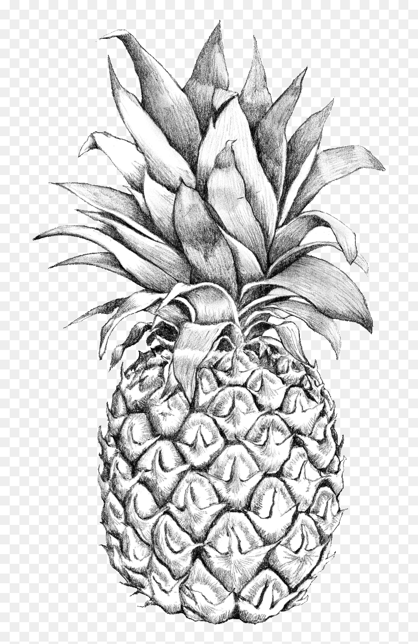 Pineapple Desktop Backgrounds, HD Png Download - black and white pineapple png