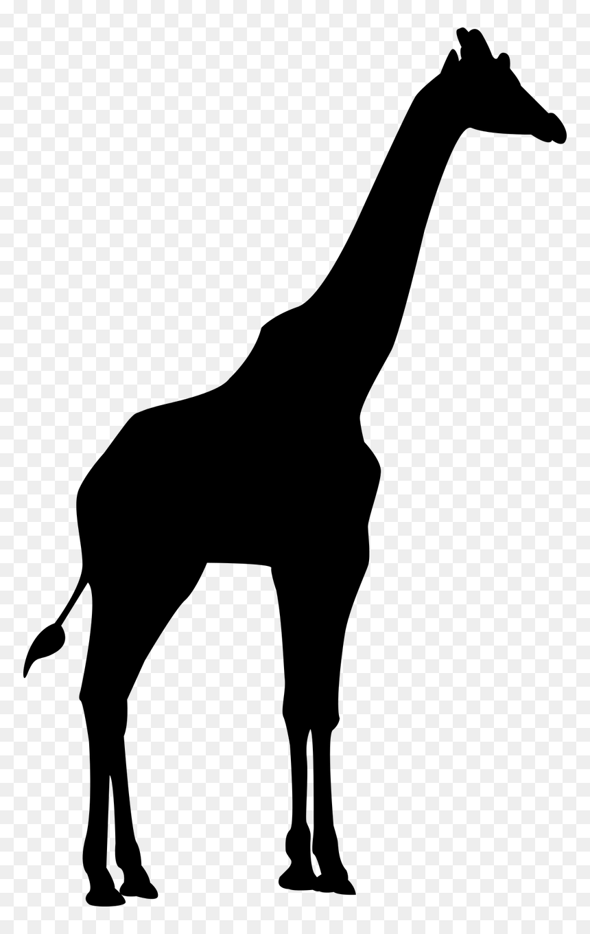 Giraffe Silhouette Transparent Background, HD Png Download - africa silhouette png