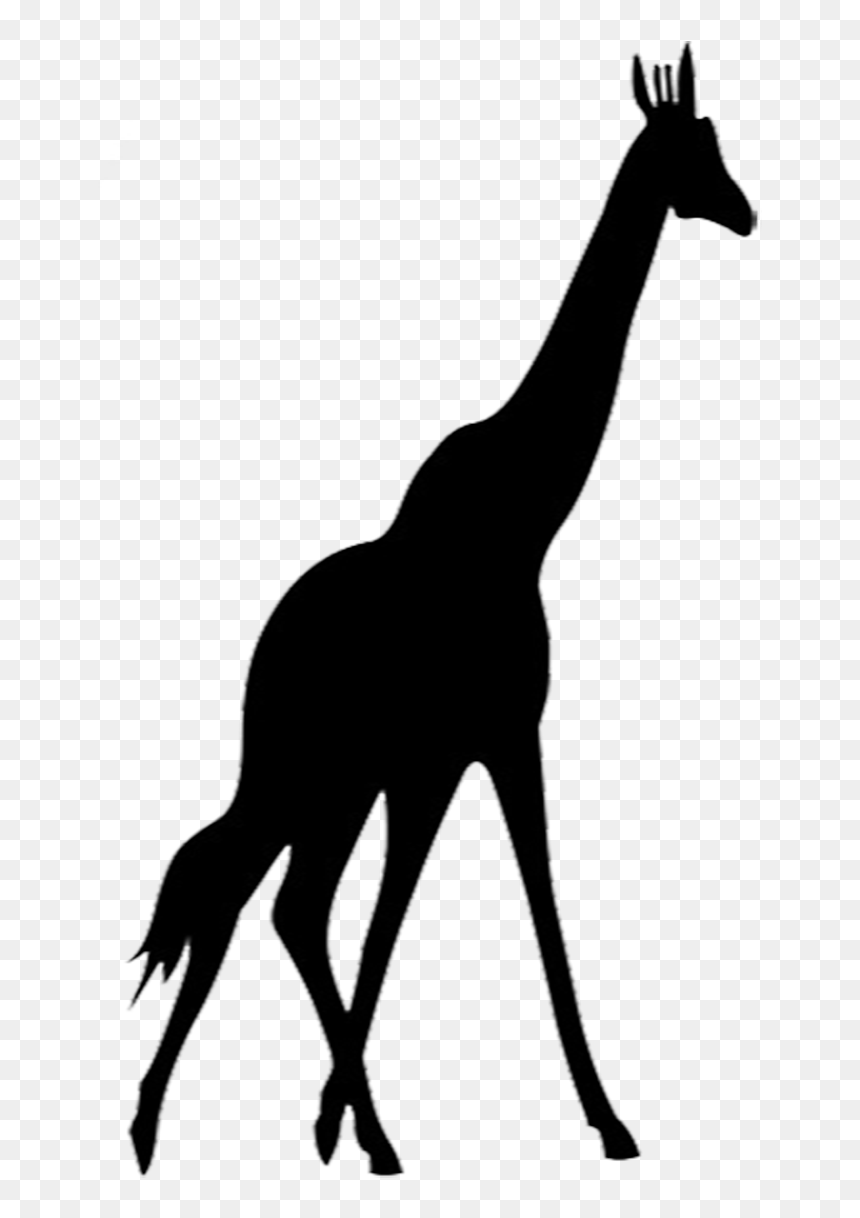 Silhouette Giraffe Clipart Png, Transparent Png - africa silhouette png