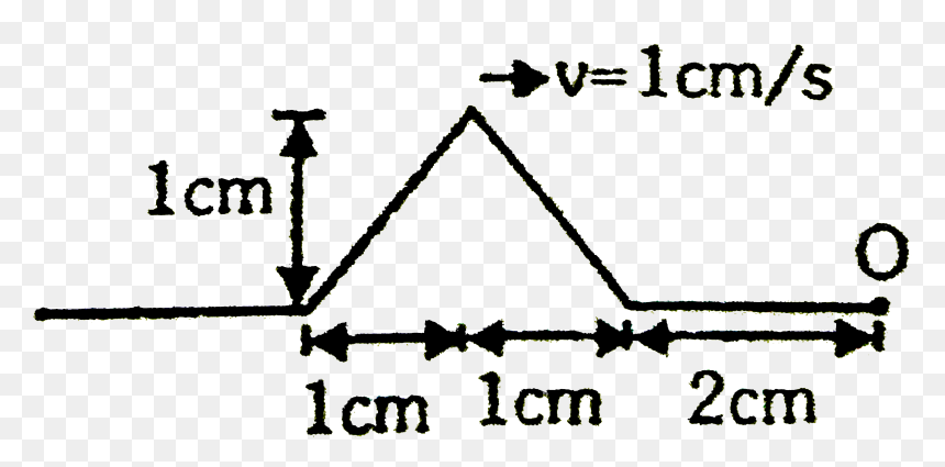 Hoe Bereken Je De Oppervlakte Van Een Trapezium, HD Png Download - wave shape png