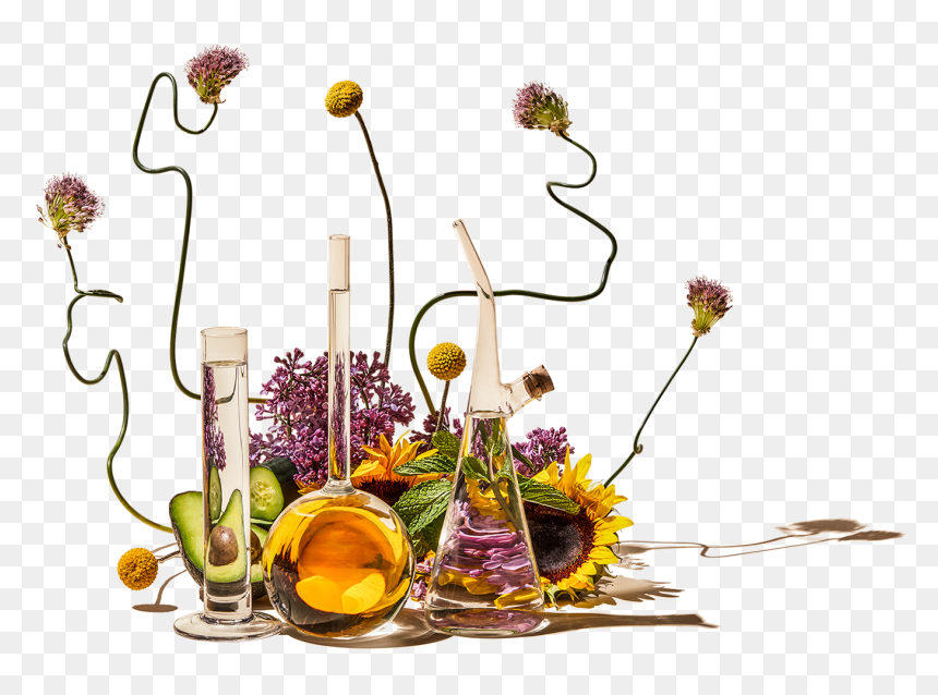 Bouquet, HD Png Download - ingredients png