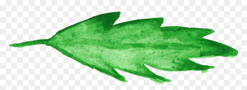 Agave, HD Png Download - ivy leaf png