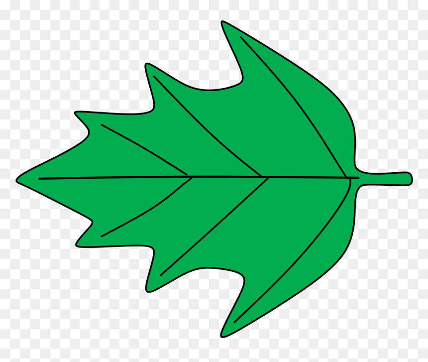 Clip Art, HD Png Download - ivy leaf png