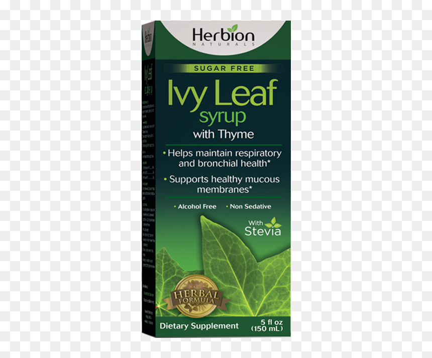 Cosmetics, HD Png Download - ivy leaf png