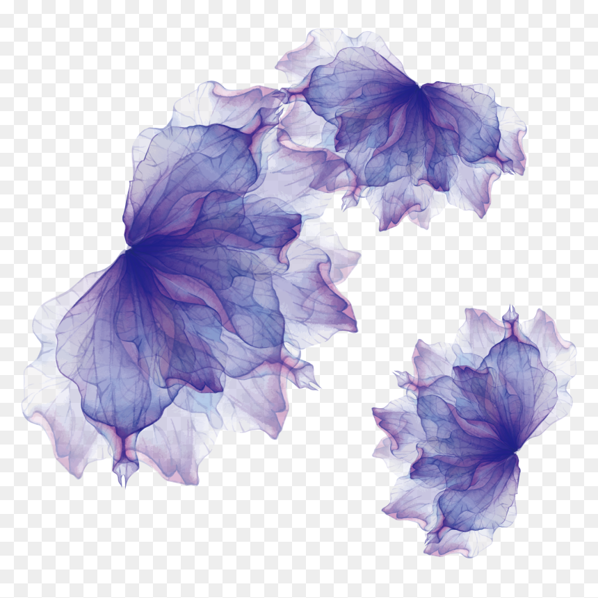 Mirah Lustrous Hair Oil Young Living, HD Png Download - ingredients png