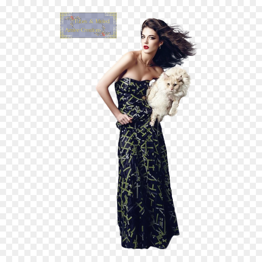 Photo Shoot, HD Png Download - tubes femmes png