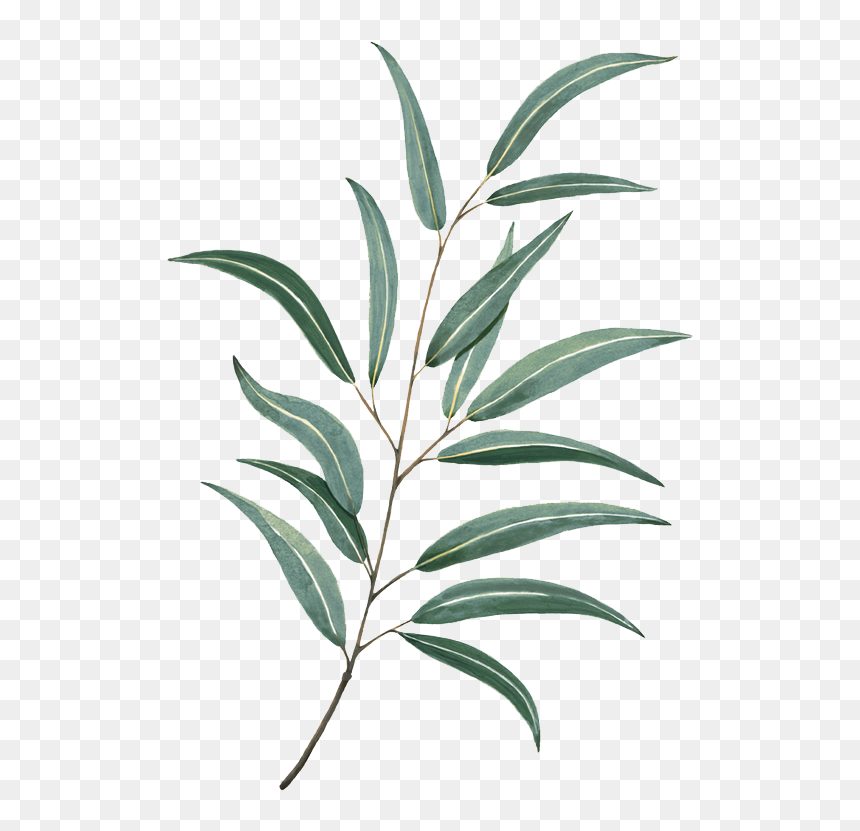 Leaves Watercolor Png, Transparent Png - flying leaves png