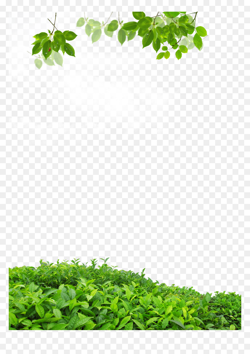 Lie To Me Ost Part, HD Png Download - flying leaves png
