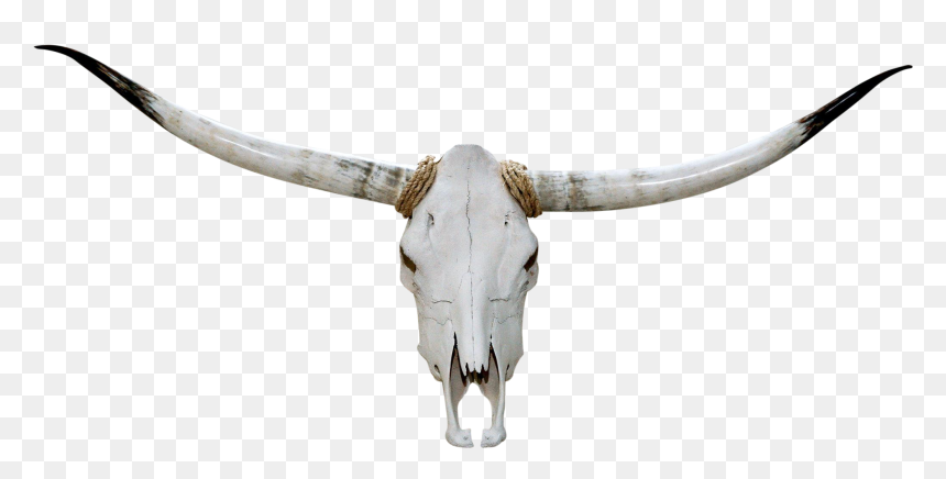 Texas Longhorn, HD Png Download - goat skull png