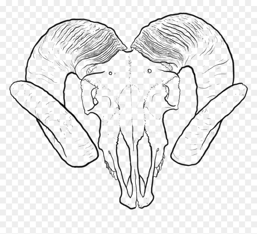 Ram Skull Outline
