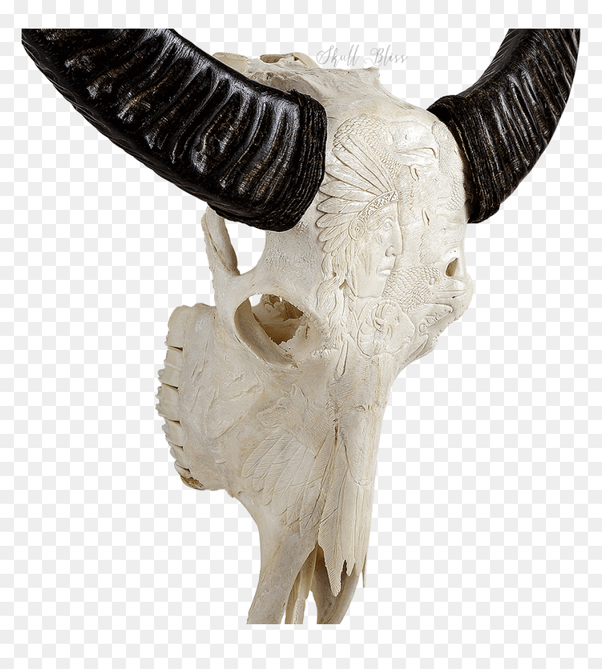 Indian Carving Buffalo, HD Png Download - goat skull png