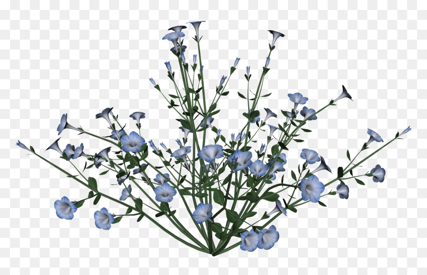 Petunia Png, Transparent Png - petunia png