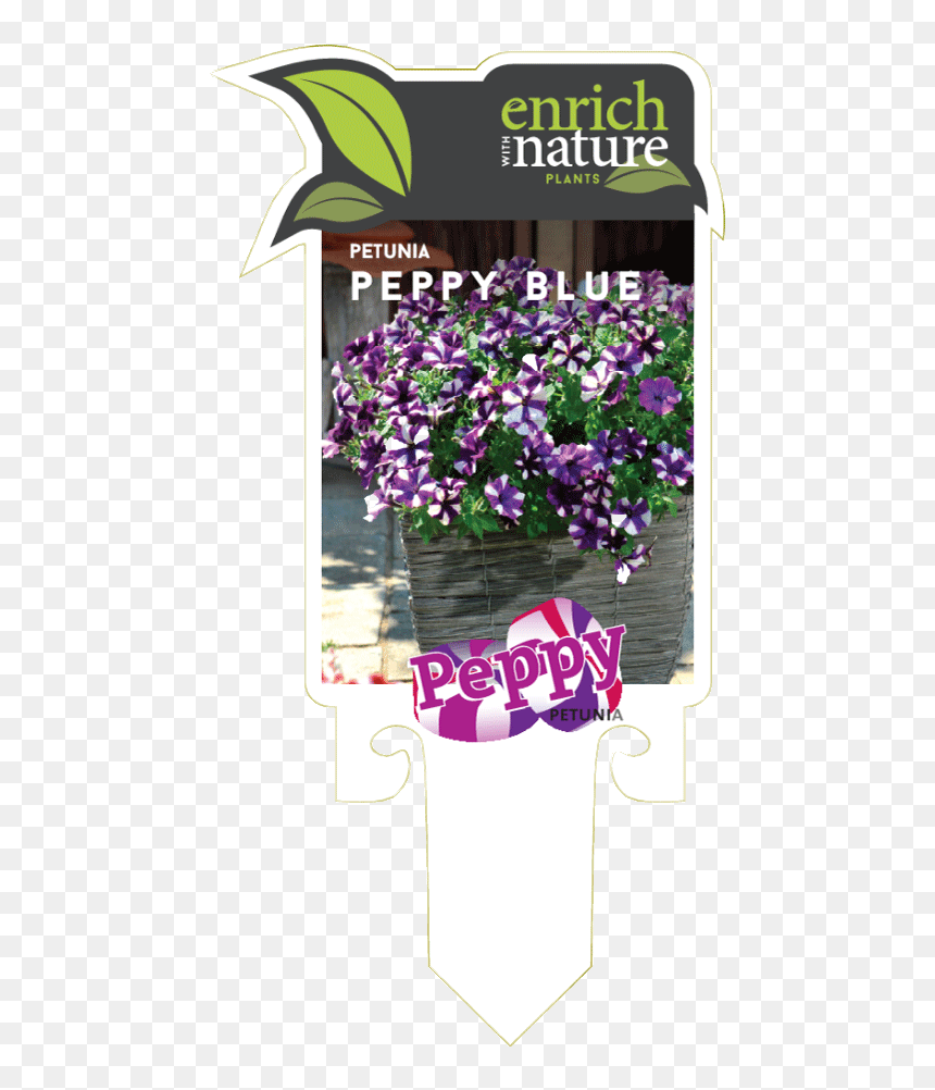 Bouquet, HD Png Download - petunia png