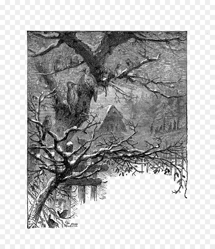 Visual Arts, HD Png Download - winter is coming png