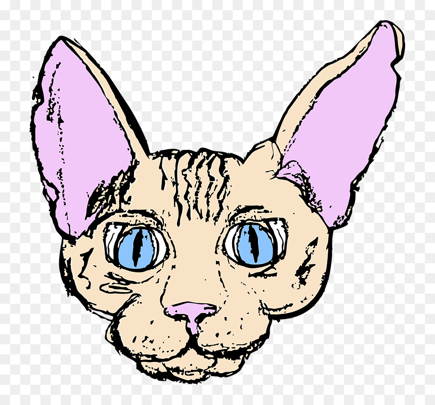 Cat Yawns, HD Png Download - cat ear png
