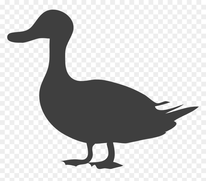 Duck Clipart Black, HD Png Download - swan silhouette png