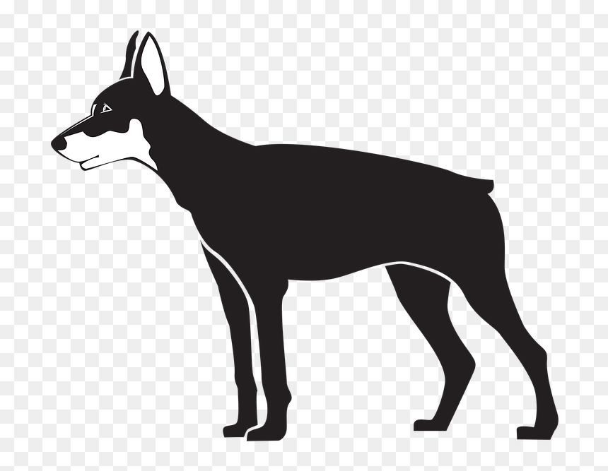 Dog Illustration Png, Transparent Png - swan silhouette png