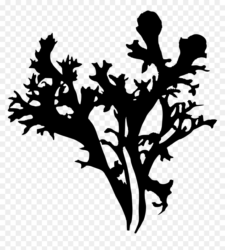Icelandic Moss Png, Transparent Png - iceland flag png