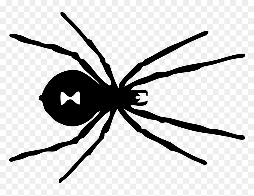 Black Widow Spider Mark, HD Png Download - spider silhouette png