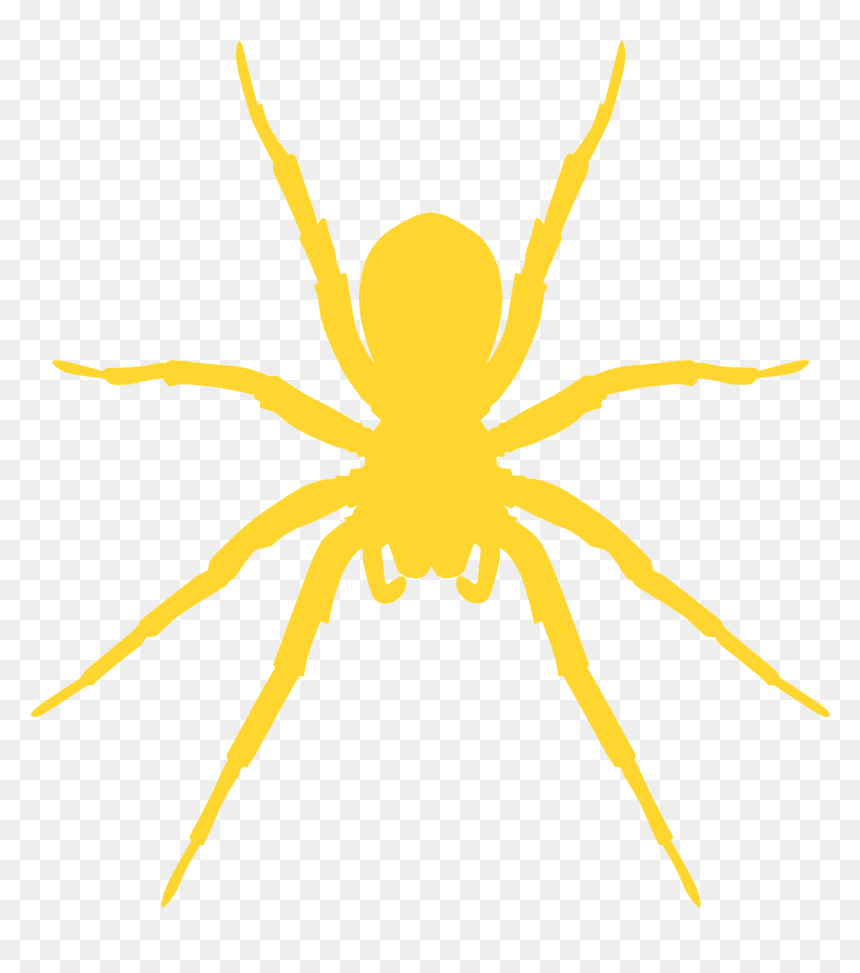 Araneus Cavaticus, HD Png Download - spider silhouette png