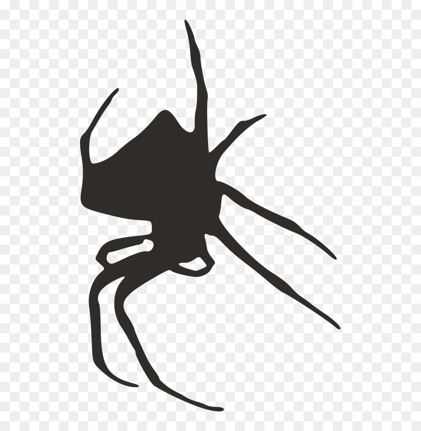 Silhouette, HD Png Download - spider silhouette png