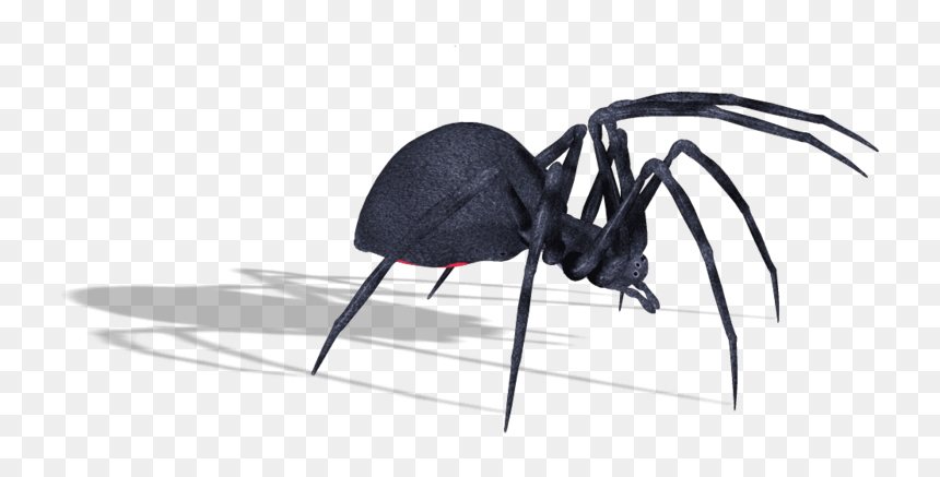 Png Transparent Spider, Png Download - spider silhouette png