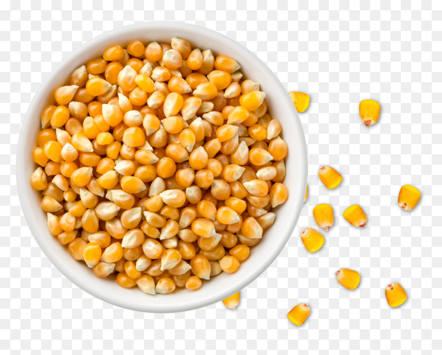 Popcorn Kernels In Bowl, HD Png Download - corn plant png