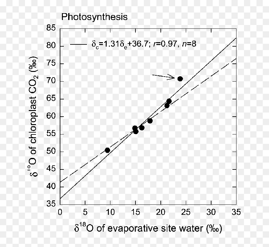Plot, HD Png Download - chloroplast png