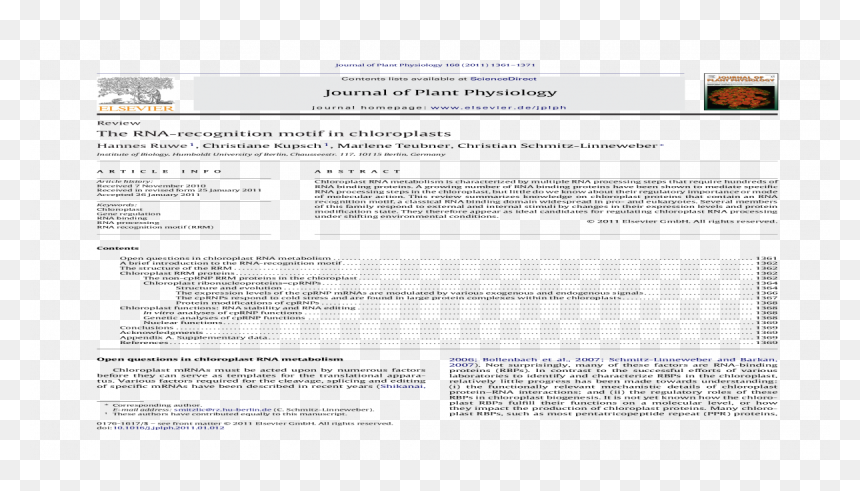 Screenshot, HD Png Download - chloroplast png