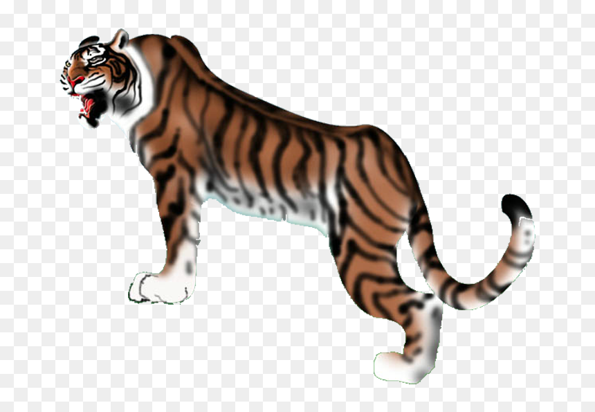 Tiger, HD Png Download - tiger icon png
