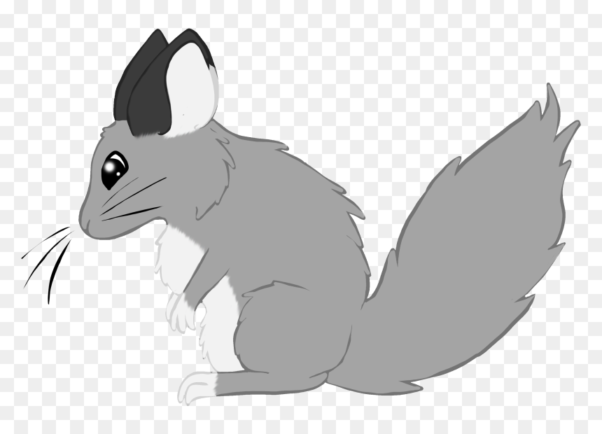 Clipart Chinchilla Png, Transparent Png - chinchilla png