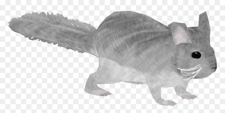 Fish, HD Png Download - chinchilla png