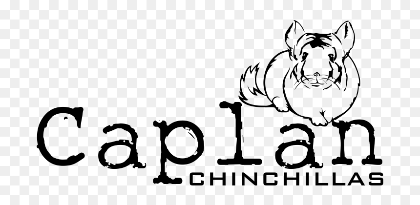 Cartoon, HD Png Download - chinchilla png