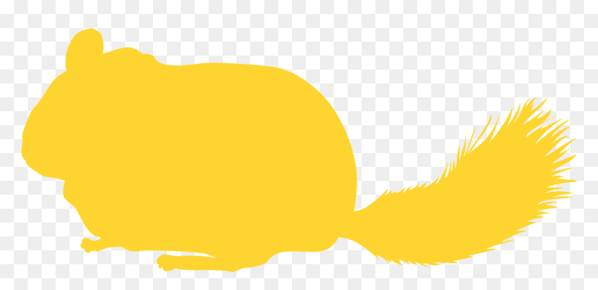 Illustration, HD Png Download - chinchilla png