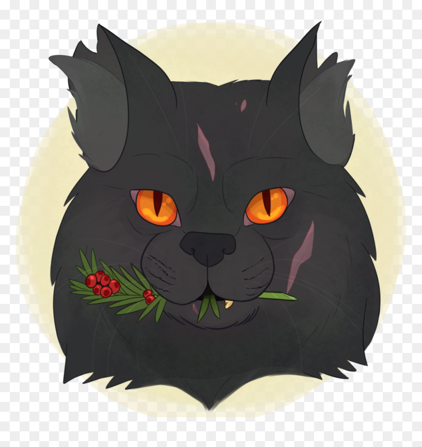 Black Cat, HD Png Download - chinchilla png