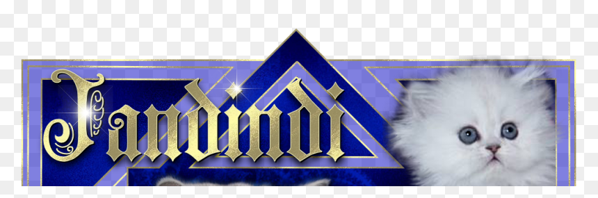 Triangle, HD Png Download - chinchilla png