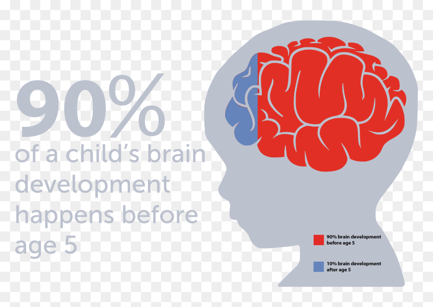 World Brain Tumor Day 2019, HD Png Download - age icon png