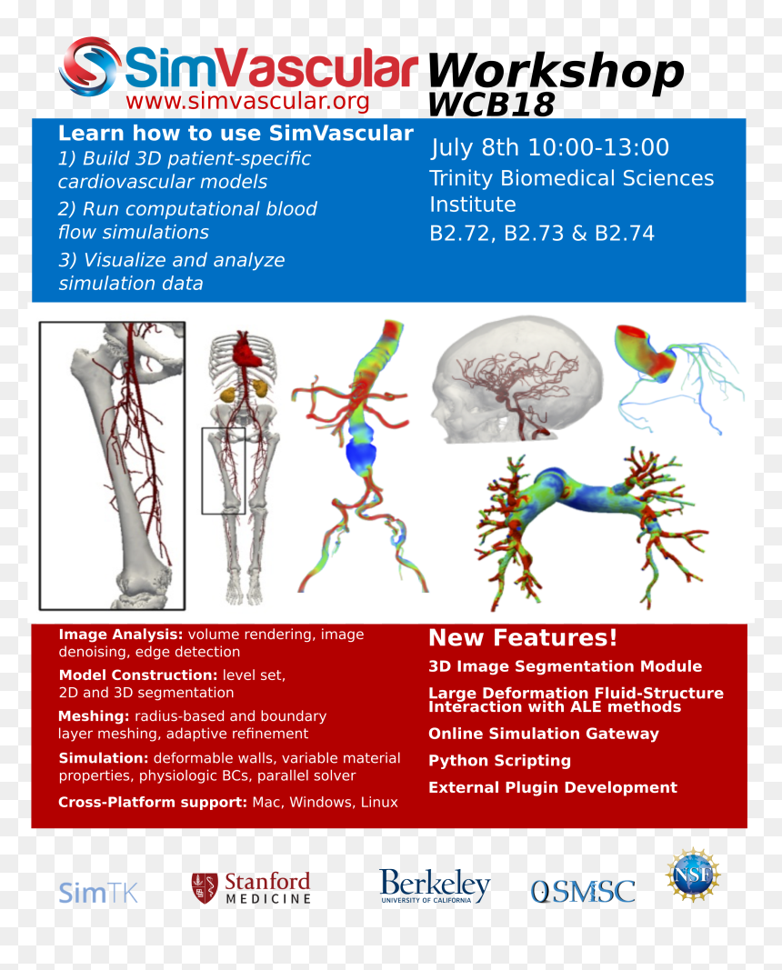 Flyer Model Png, Transparent Png - flyer model png
