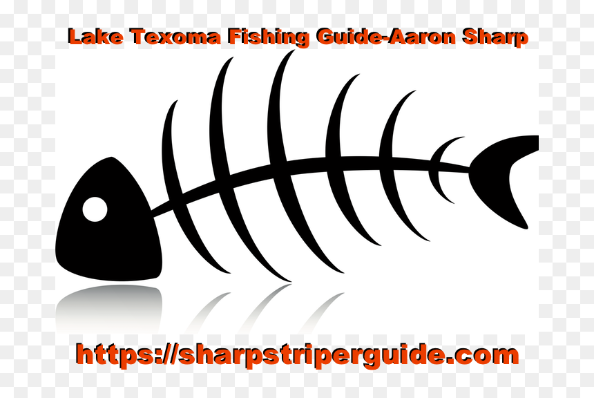 Clip Art, HD Png Download - striper png